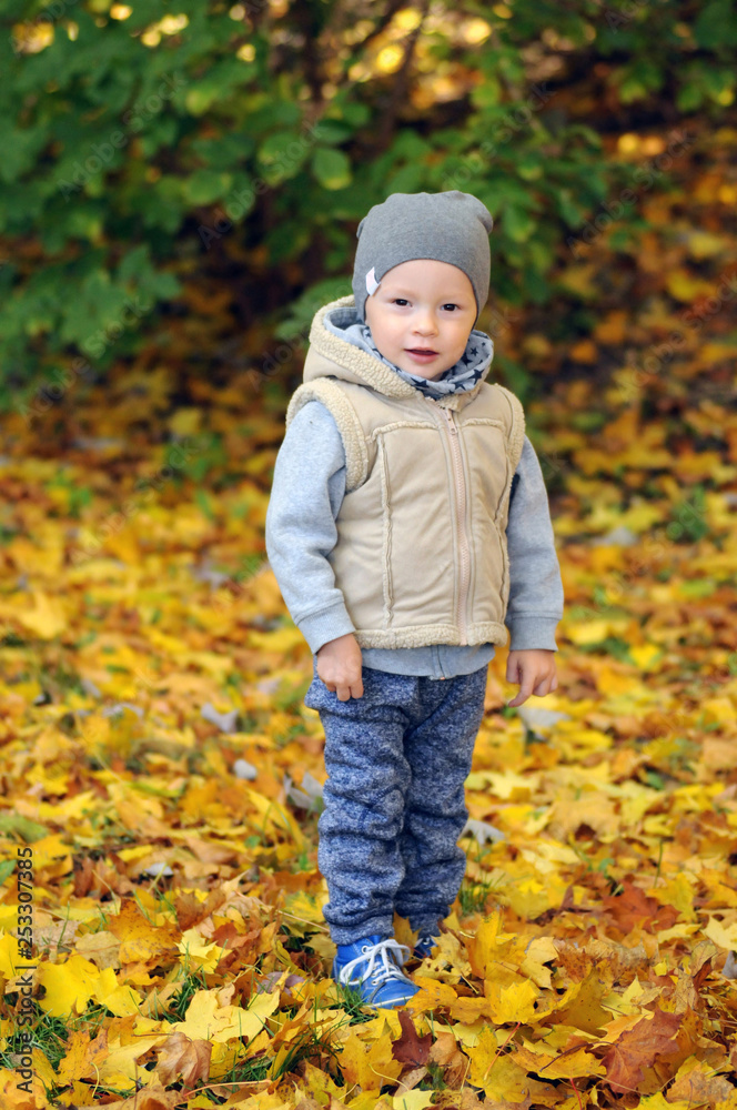 Two years old boy standing on falling autumn leaves Two years old boy standing on falling autumn leaves