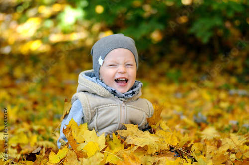Two years old boy sitting on a falling foliage