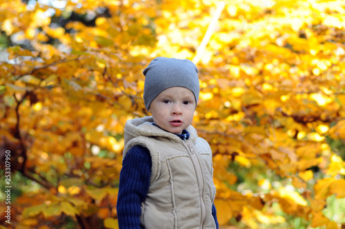 Happy little boy is standing in cap surrounded by fallen leaves.