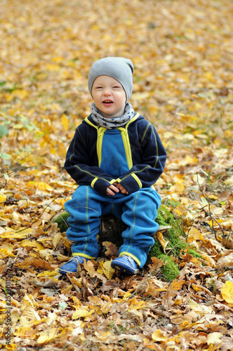 Two years old little boy sitting on stump in cap surrounded by fallen leaves.