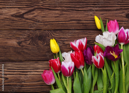 tulips on wood background