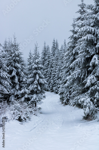 Mountain snowy road in Romania 