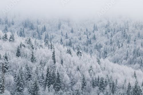 Panoramic winter mountain snow tree