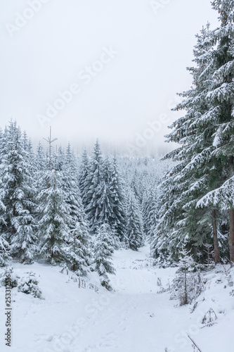 Mountain landscape view in winter in Transylvania