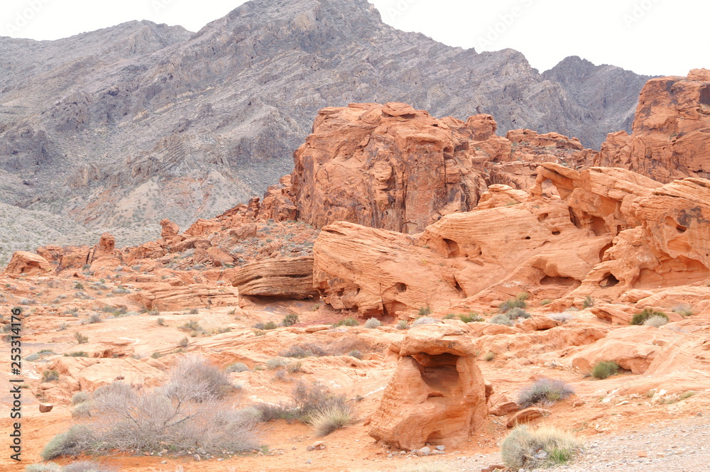 Fototapeta premium Valley of Fire