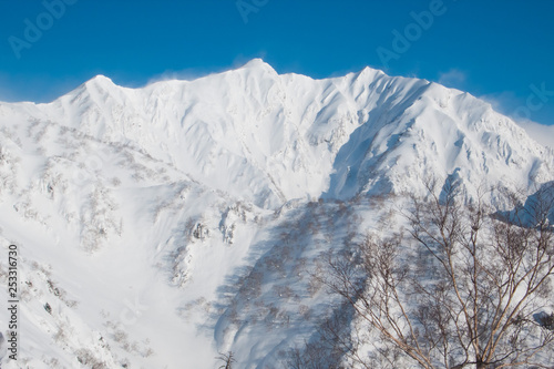 Snow Ridge - 積雪の尾根 © FotoCat