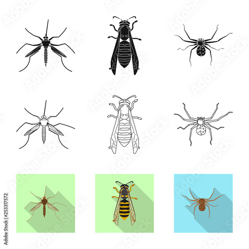 Vector design of insect and fly icon. Set of insect and element vector icon for stock. © Svitlana