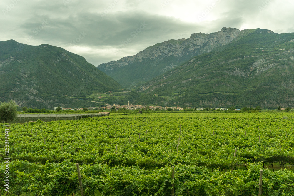 Italy,La Spezia to Kasltelruth train, a large green field with a mountain in the background Italy,La Spezia to Kasltelruth train, a large green field with a mountain in the background