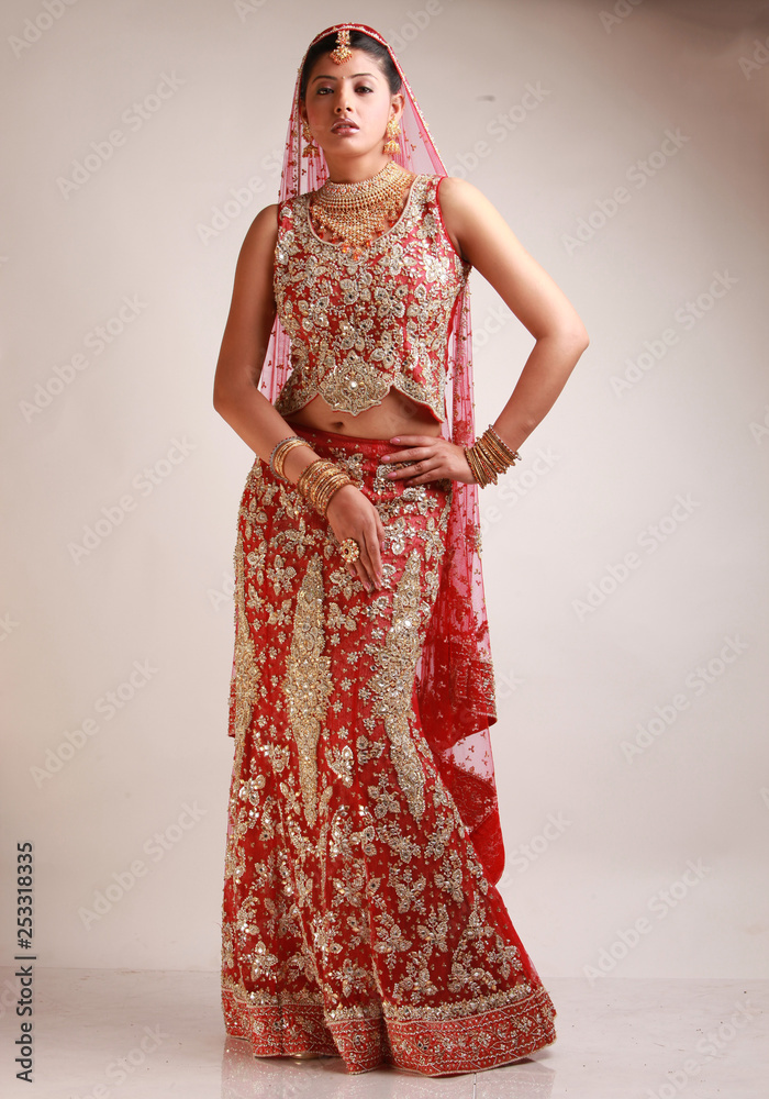 Indian bride in traditional bridal sari in studio lighting indoor Indian bride in traditional bridal sari in studio lighting indoor