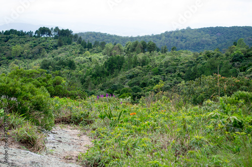 Amazing green landscape seen from Pedra Grande, a stone hill in Atibaia, Sao Paulo in Brazil. This kind of vegetation is called Atlantic forest