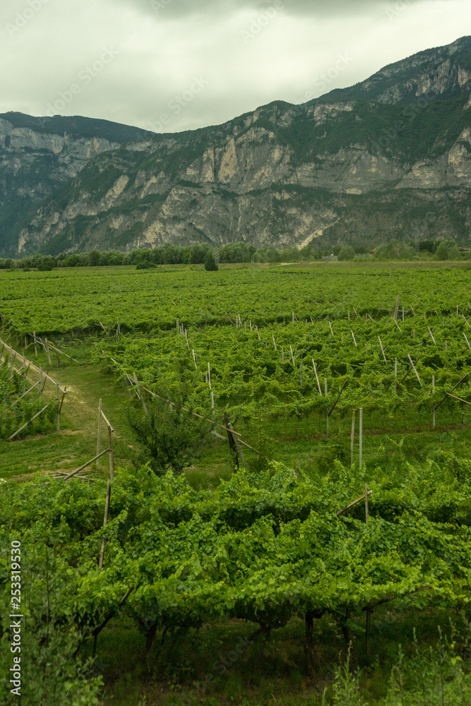 Italy,La Spezia to Kasltelruth train, a large green field with a mountain in the background
