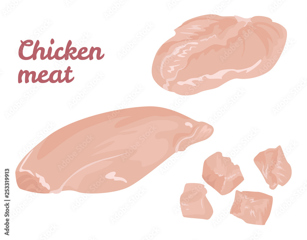 Chicken meat isolated on white background. Fresh fillet and diced