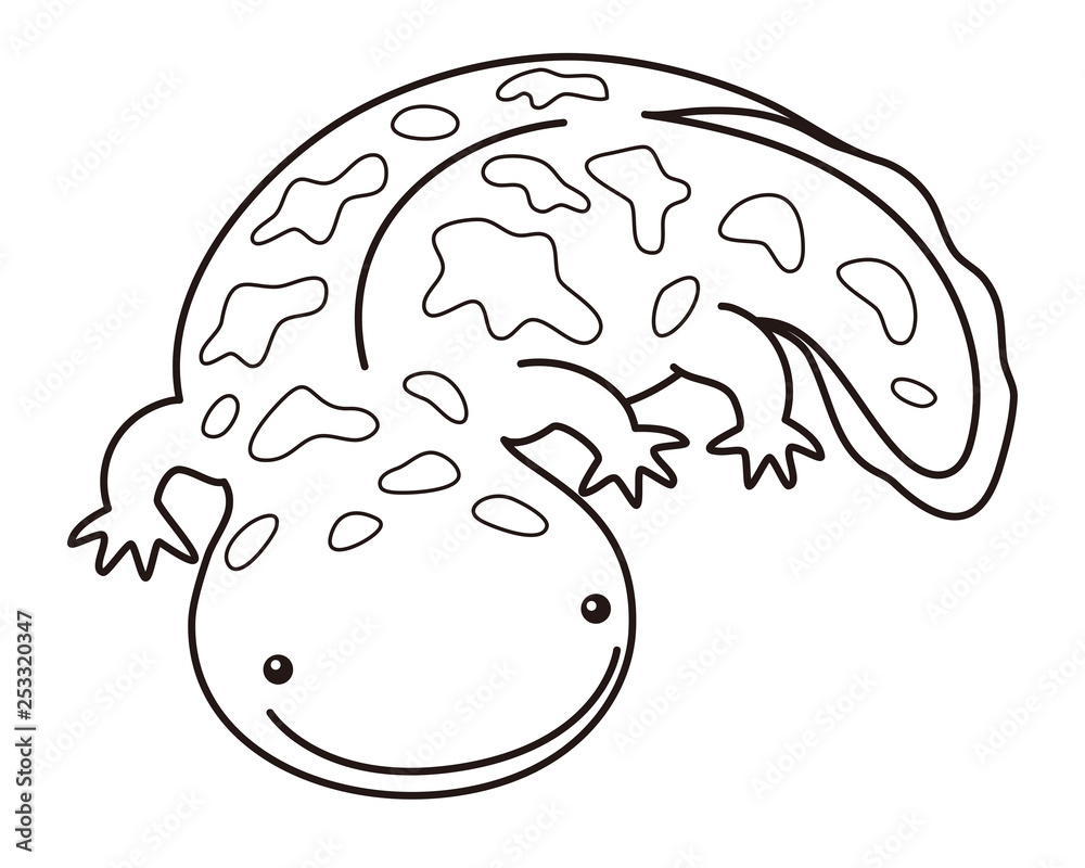 オオサンショウウオ Giant Salamander ぬりえ Stock Illustration Adobe Stock