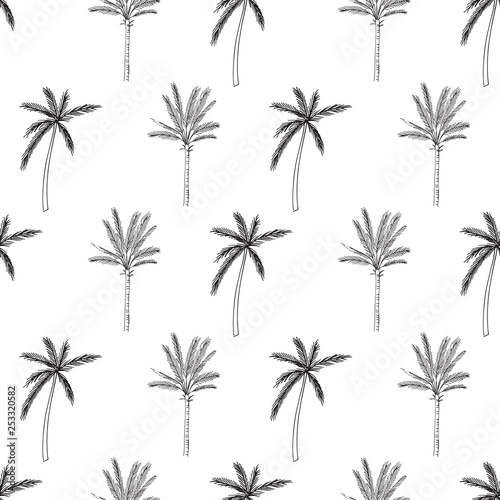 Hand-drawn seamless pattern with palm trees  isolated on white background. Abstract summer illustration.