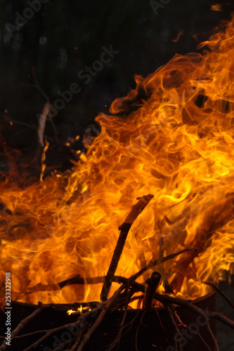 Flames of fire on a dark background with the silhouette of branches and twigs visable.