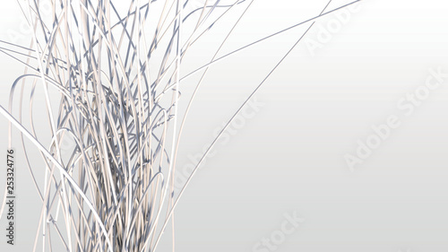 abstract plant