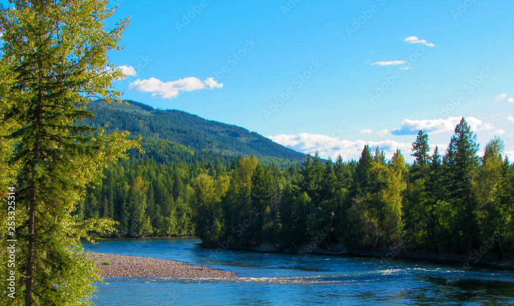 Beautiful green forest river landscape with a mountain on the back