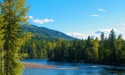 Beautiful green forest river landscape with a mountain on the back
