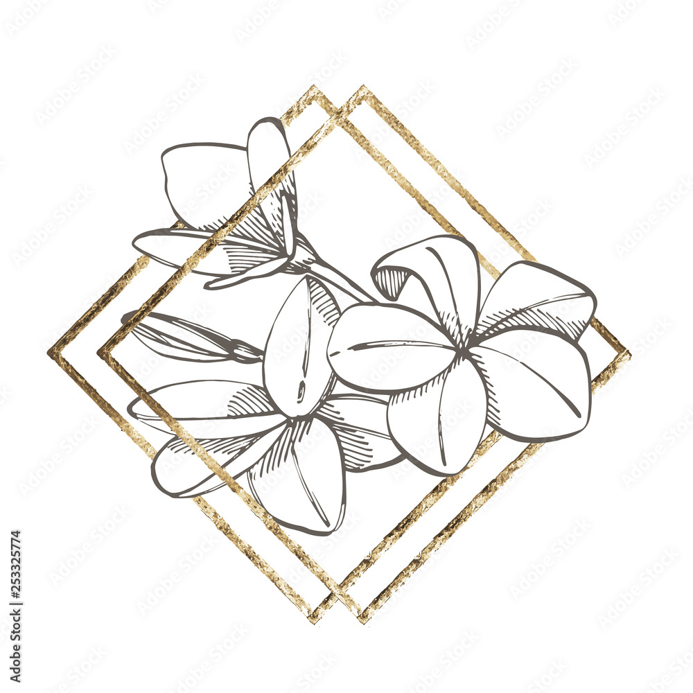 Plumeria flowers. Summer tropical leaves design. Floral background illustration. Invitation or card design with jungle leaves. Plumeria flowers. Summer tropical leaves design. Floral background illustration. Invitation or card design with jungle leaves.
