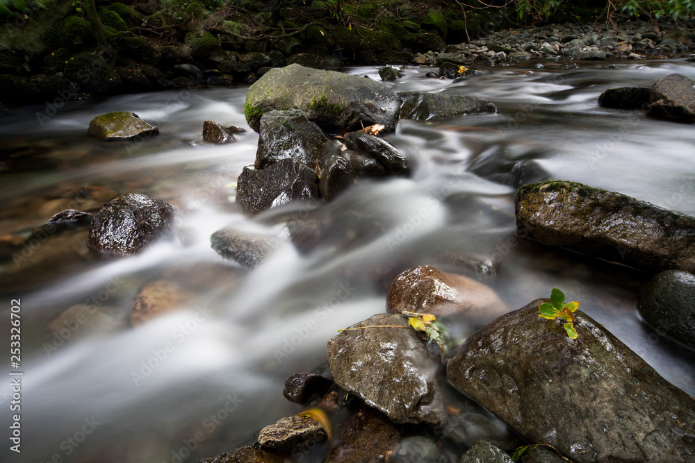 Clear stream water cascades over rocks while flowing down a woodland creek stream. Fallen leaves on rocks. Clear stream water cascades over rocks while flowing down a woodland creek stream. Fallen leaves on rocks.
