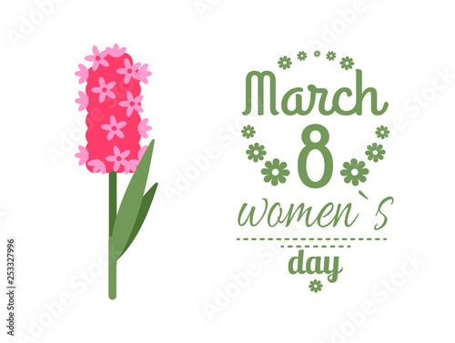 Spring holiday postcard decorated by pink hyacinthus, 8 March. Womens international day, greeting for ladies, colorful flower, festive for girls vector