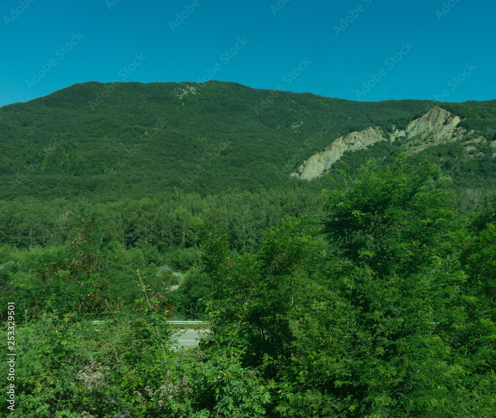 Italy,La Spezia to Kasltelruth train, a tree with a mountain in the background Italy,La Spezia to Kasltelruth train, a tree with a mountain in the background