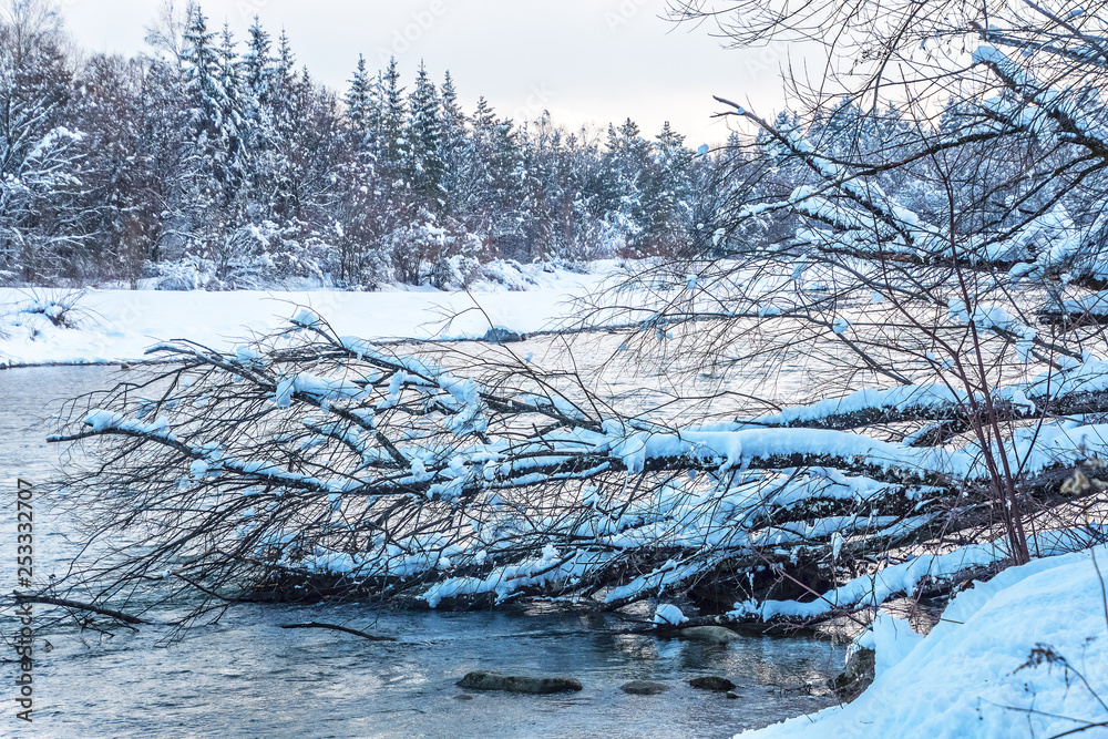 Fototapeta premium river isar in winter snow