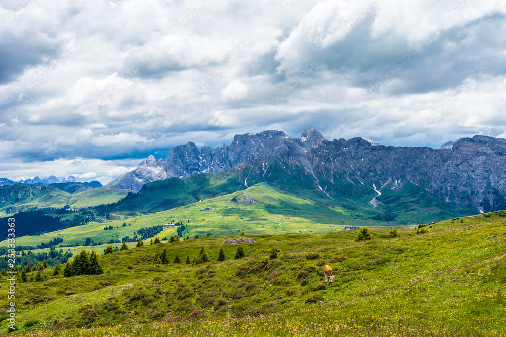 Alpe di Siusi, Seiser Alm with Sassolungo Langkofel Dolomite, a large green field with a mountain in the background