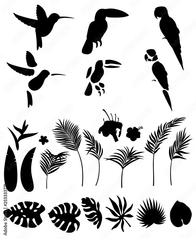 Set of silhouettes of palm leaves and other tropical plants and flowers and tropical birds isolated on white background for animation Set of silhouettes of palm leaves and other tropical plants and flowers and tropical birds isolated on white background for animation