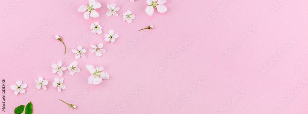 White spring cherry tree blooming flowers pattern White spring cherry tree blooming flowers pattern