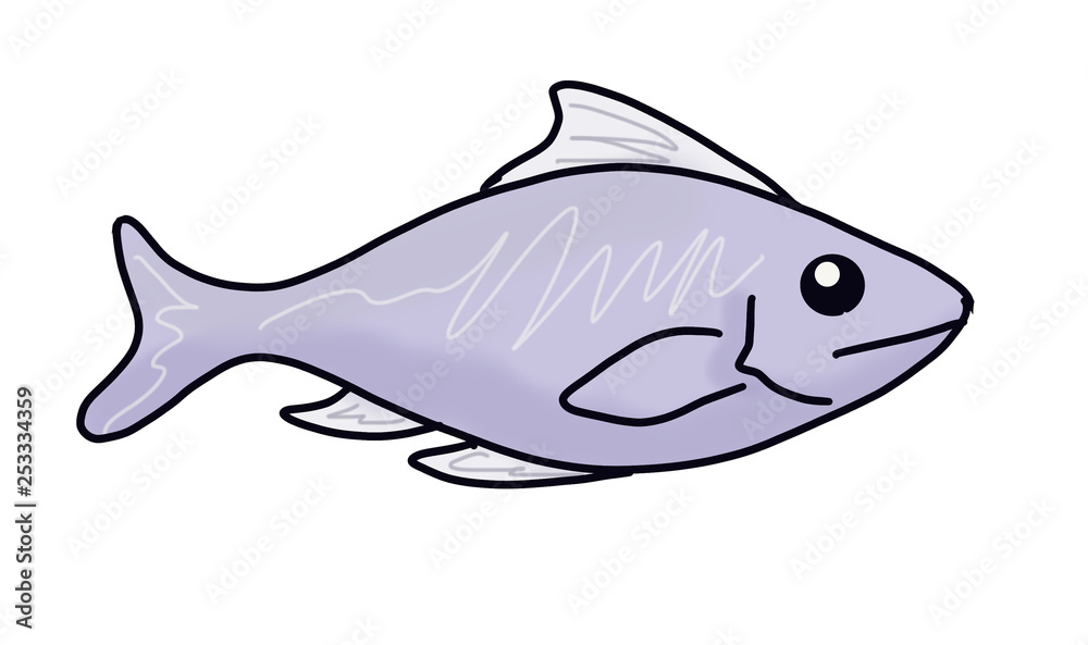 Fototapeta premium Fish