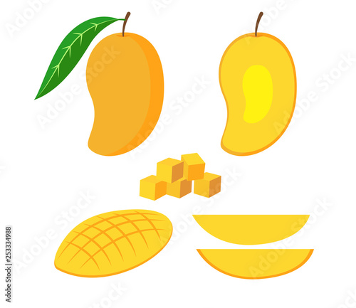 Vector illustration of set fresh mango isolated on white background