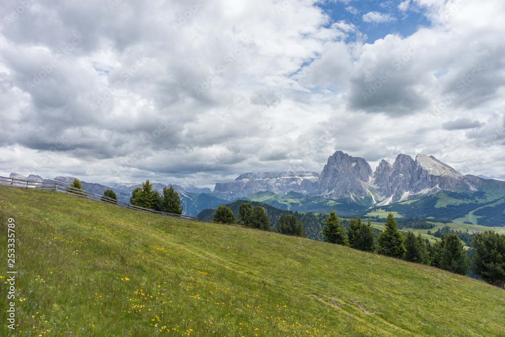Alpe di Siusi, Seiser Alm with Sassolungo Langkofel Dolomite, a house with a mountain in the background