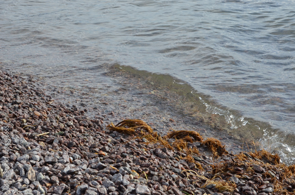 Obraz premium spring