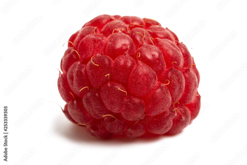 raspberries isolated raspberries isolated