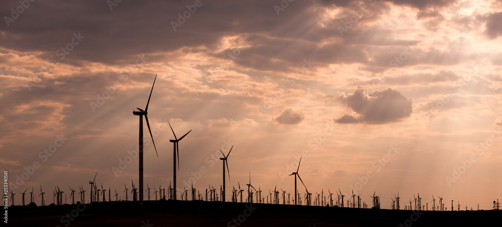 Wind turbines on the background of a beautiful sky
