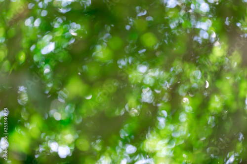 Abstract of green bokeh as texture background © warongdech