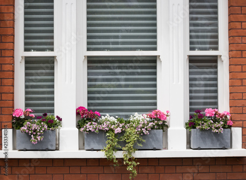 Pink Flowers Blossom in Stone Gray Pots on a Windowsill Outside on Sunny Day. Concept: English Garden Style.