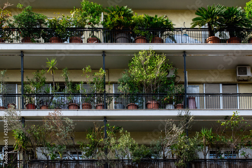 Balconies with potted plants