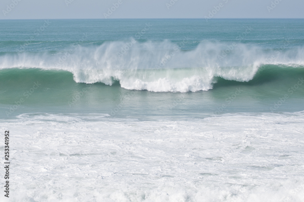 Fototapeta premium Waves in Portugal