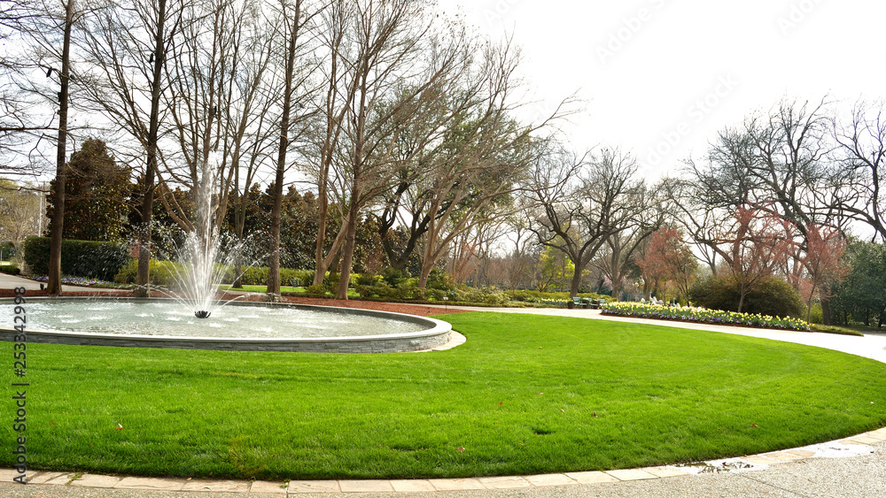 Fototapeta premium Flowers Park in Early Spring