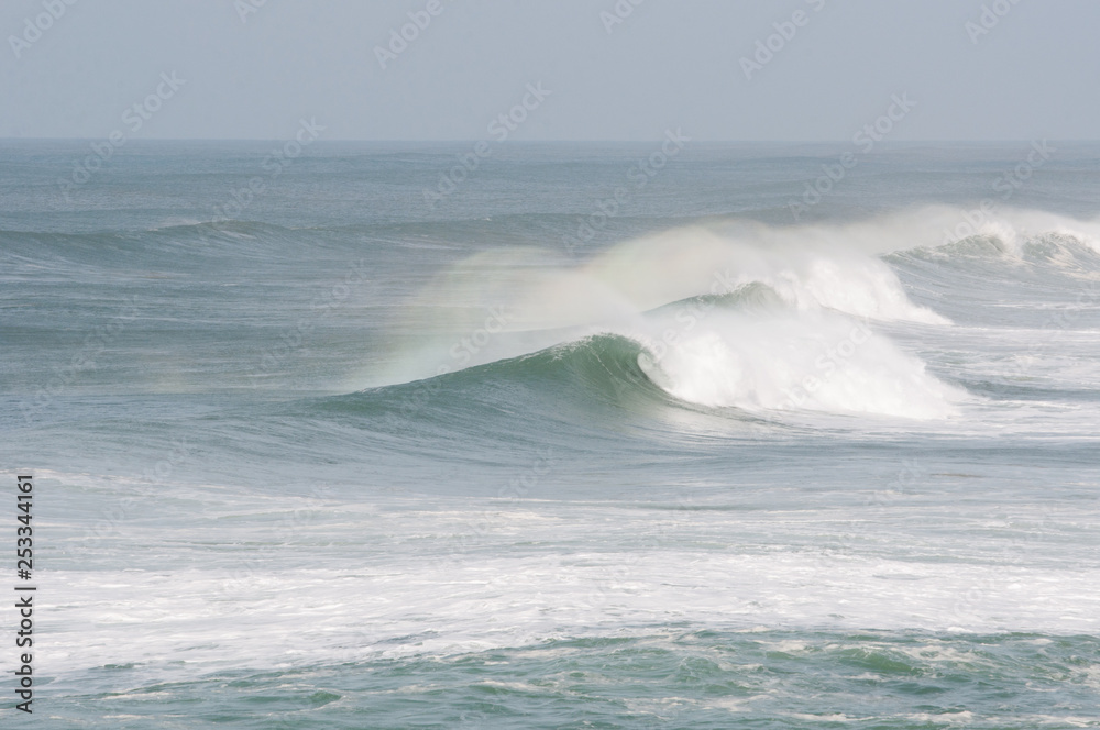 Fototapeta premium Waves in Portugal