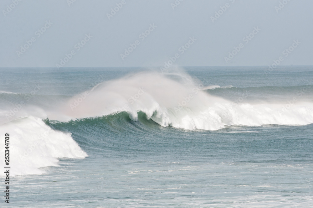 Fototapeta premium Waves in Portugal