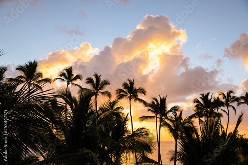 Tropical Sunrise
