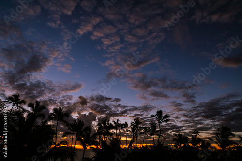 Tropical Sunrise