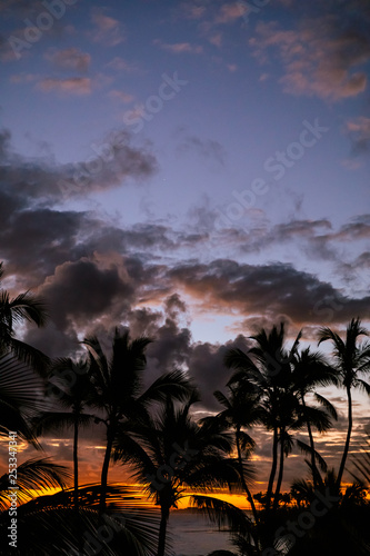 Tropical Sunrise