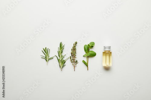 Top view of essential oil in bottle and fresh herbs on white background