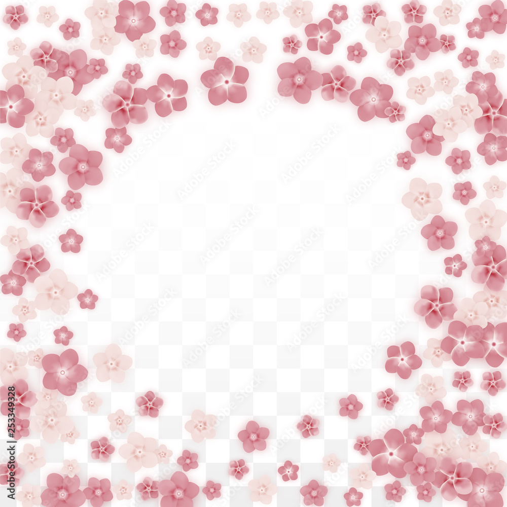 Vector Realistic Pink Flowers Falling on Transparent Background.  Spring Romantic Flowers Illustration. Flying Petals. Sakura Spa Design. Blossom Confetti. Design Elements for Wedding Decoration.