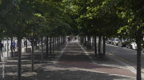 Wallpaper Mural Tree rows on Dublin quays in summer Torontodigital.ca
