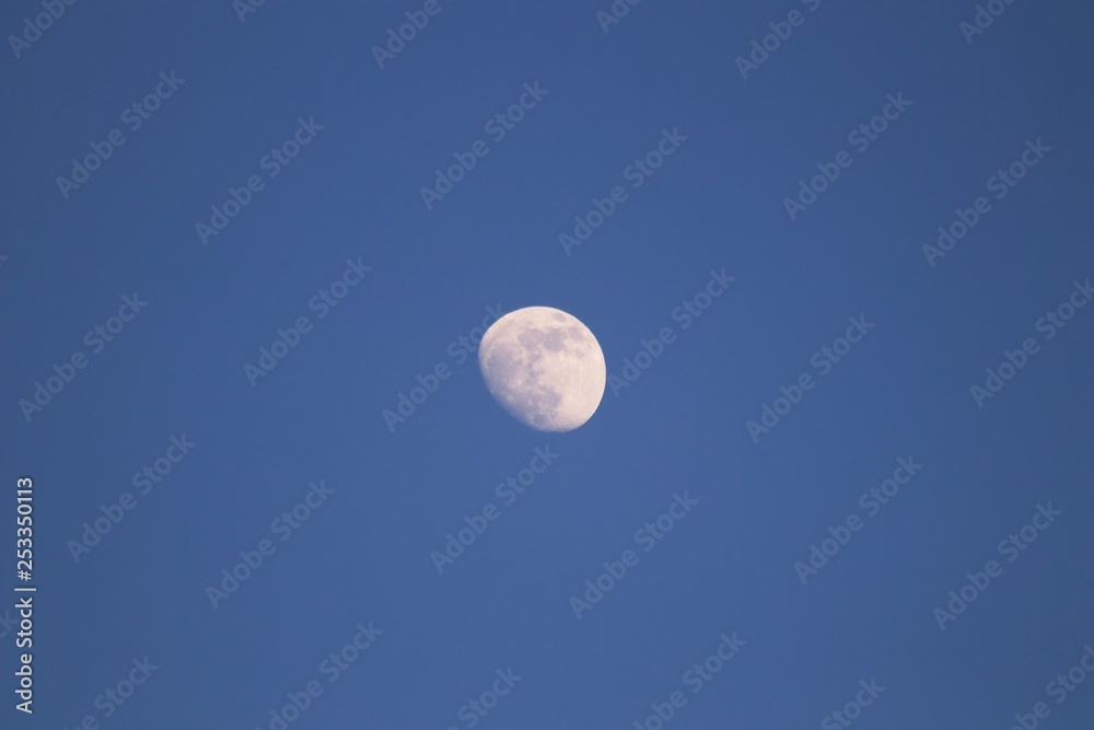 Moon 🌒 Moon 🌒